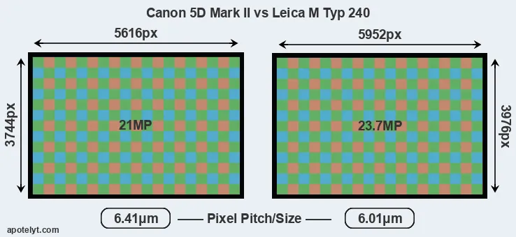 5D Mark II versus M Typ 240 MP