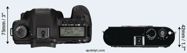 Compare 5D Mark II versus M Typ 240 top