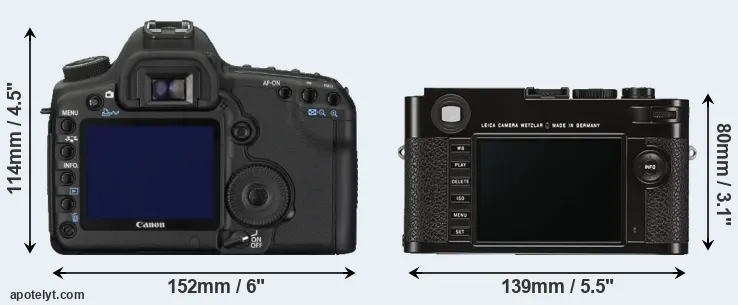 Comparison 5D Mark II or M Typ 262 rear