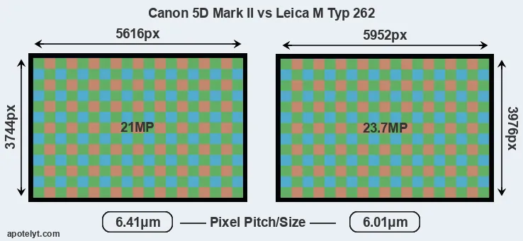 5D Mark II versus M Typ 262 MP
