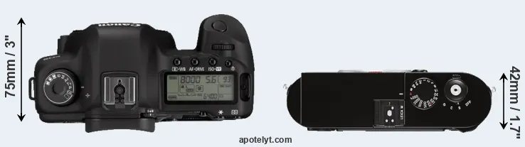 Compare 5D Mark II versus M Typ 262 top