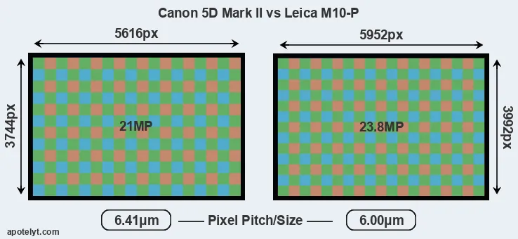 5D Mark II versus M10-P MP