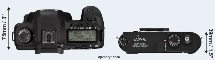 Compare 5D Mark II versus M10-P top