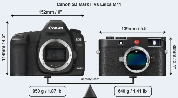 Size Canon 5D Mark II vs Leica M11