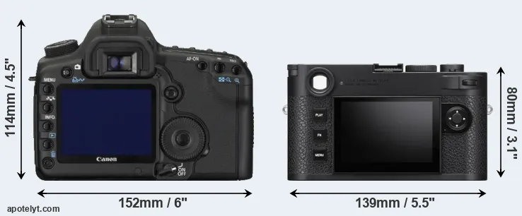 Comparison 5D Mark II or M11 rear