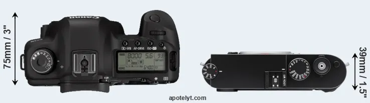 Compare 5D Mark II versus M11 top