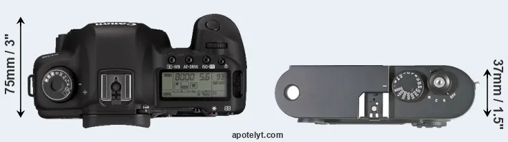 Compare 5D Mark II versus M8 top