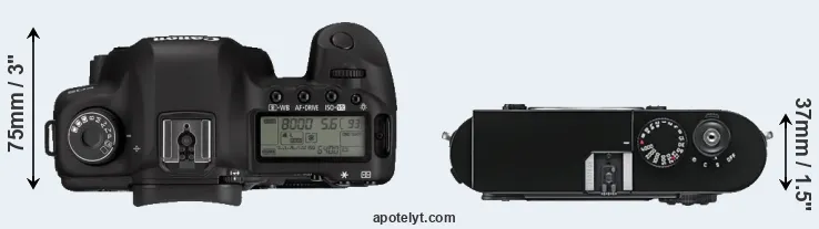 Compare 5D Mark II versus M9 top