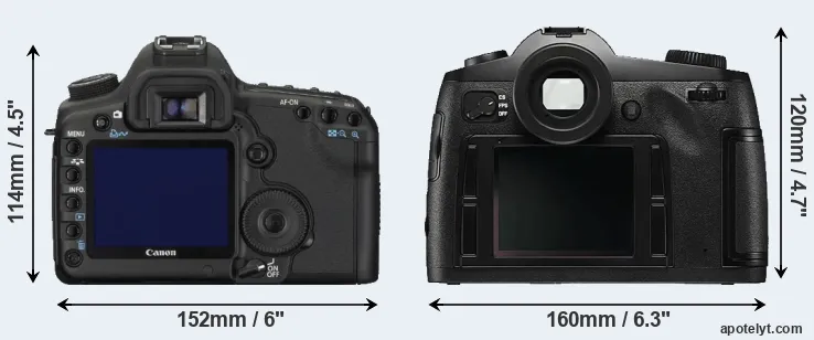 Comparison 5D Mark II or S Typ 006 rear