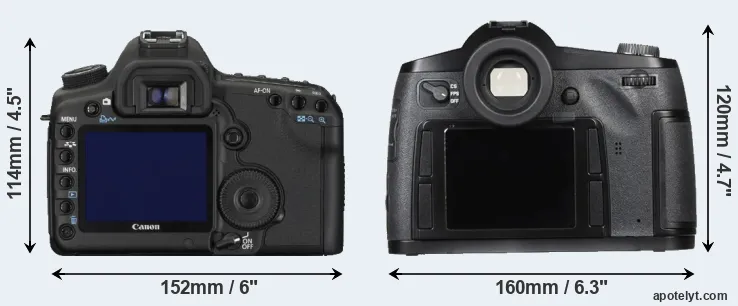 Comparison 5D Mark II or S Typ 007 rear