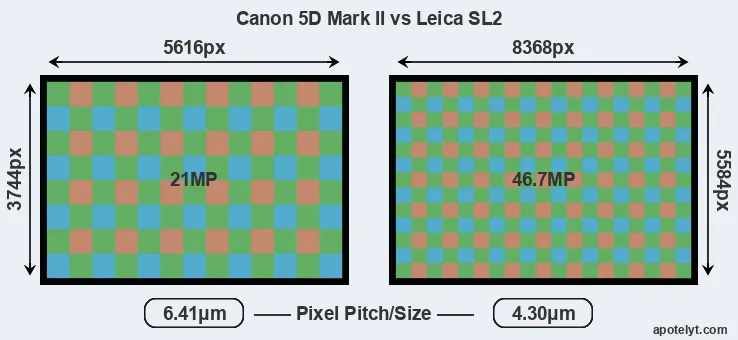5D Mark II versus Leica SL2 MP