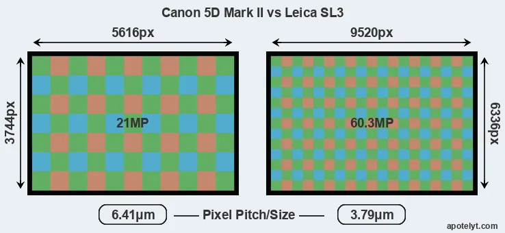 5D Mark II versus Leica SL3 MP