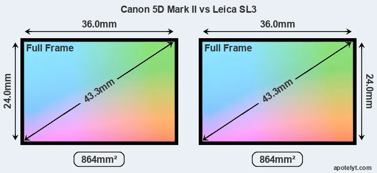 Canon 5D Mark II and Leica SL3 sensor measures