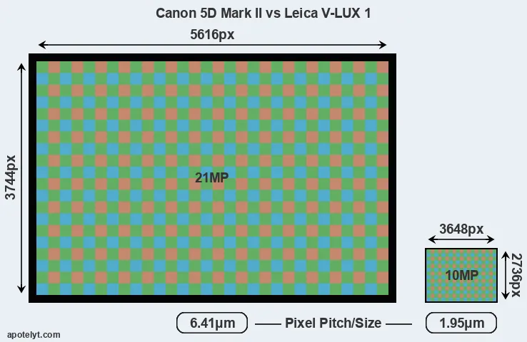 5D Mark II versus V-LUX 1 MP