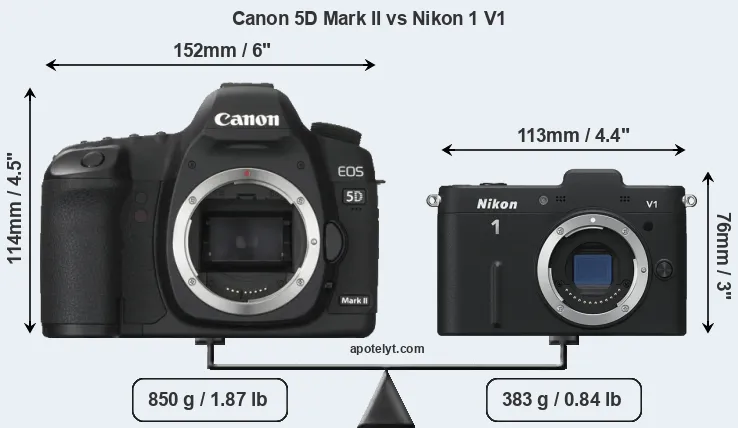 Size Canon 5D Mark II vs Nikon 1 V1