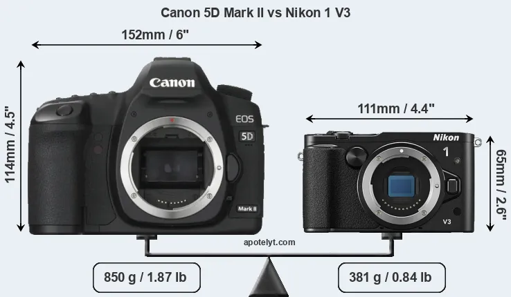 Size Canon 5D Mark II vs Nikon 1 V3
