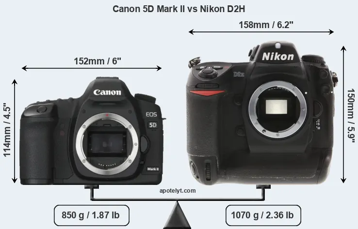 Size Canon 5D Mark II vs Nikon D2H