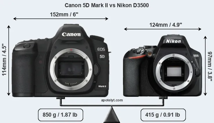 Size Canon 5D Mark II vs Nikon D3500