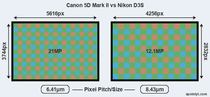 5D Mark II versus D3S MP