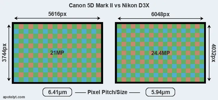 5D Mark II versus D3X MP