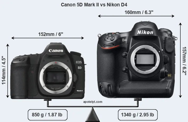 Size Canon 5D Mark II vs Nikon D4