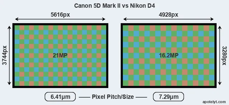 5D Mark II versus D4 MP