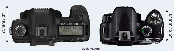 Compare 5D Mark II versus D40 top
