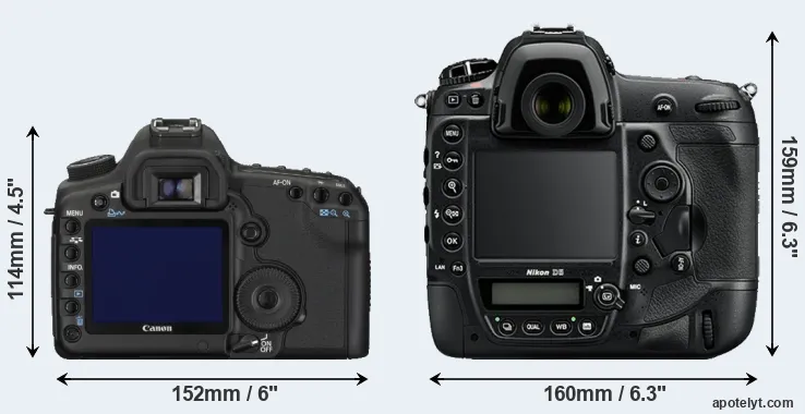 Comparison 5D Mark II or D5 rear