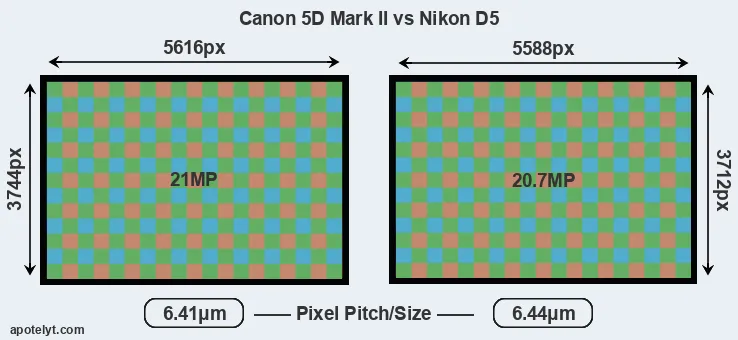 5D Mark II versus D5 MP