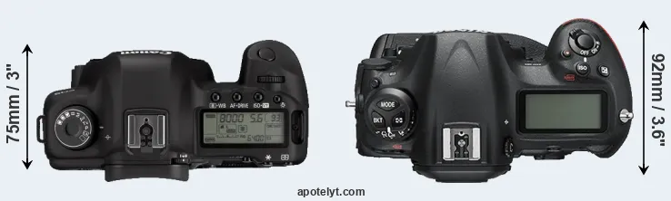 Compare 5D Mark II versus D5 top