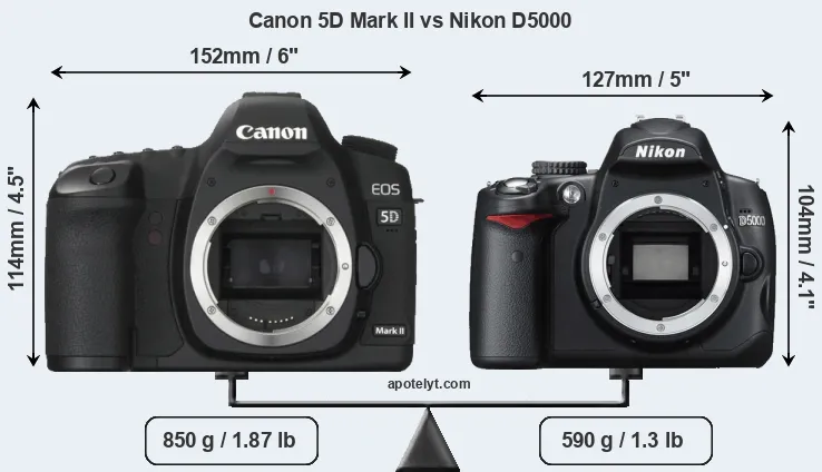 Size Canon 5D Mark II vs Nikon D5000