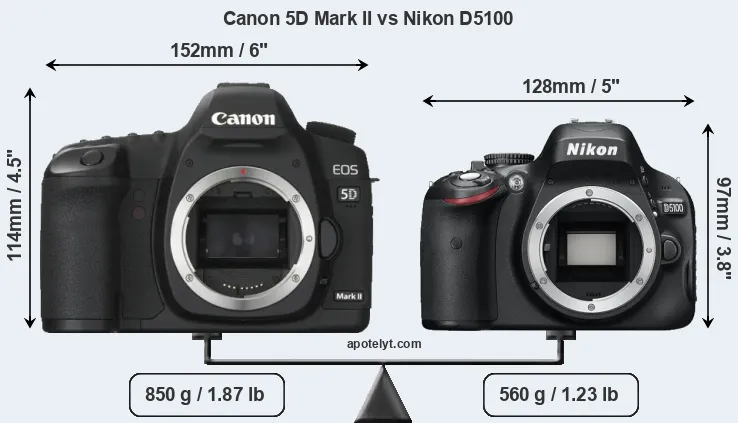 Size Canon 5D Mark II vs Nikon D5100