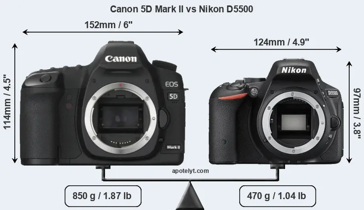Size Canon 5D Mark II vs Nikon D5500