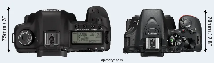 Compare 5D Mark II versus D5500 top