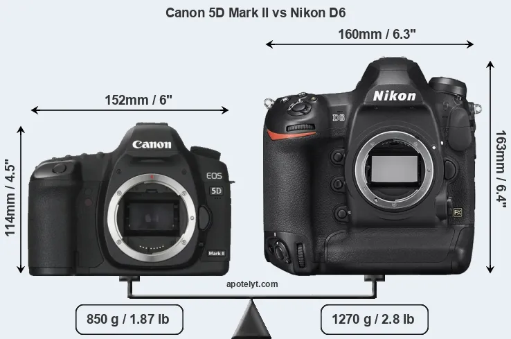Size Canon 5D Mark II vs Nikon D6