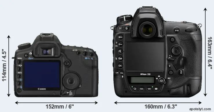 Comparison 5D Mark II or D6 rear
