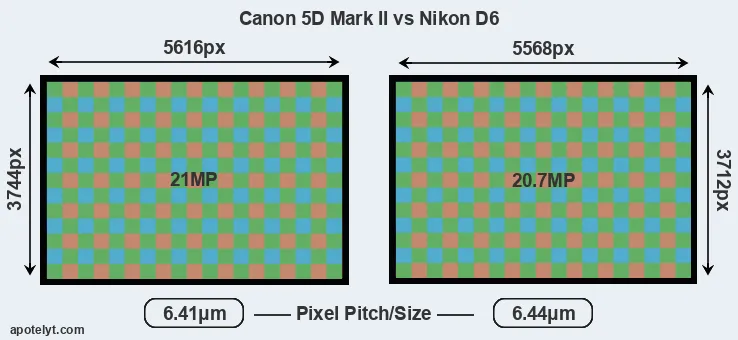 5D Mark II versus D6 MP