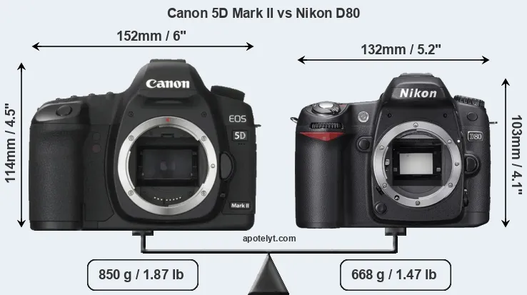 Size Canon 5D Mark II vs Nikon D80