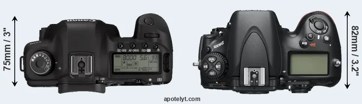 Compare 5D Mark II versus D800E top
