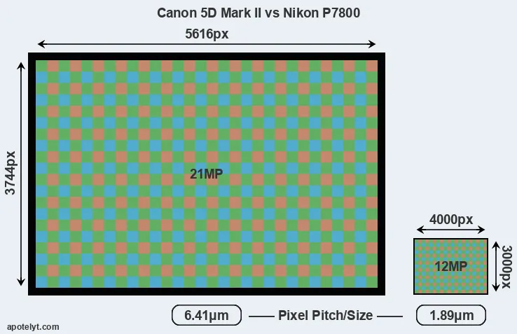 5D Mark II versus P7800 MP