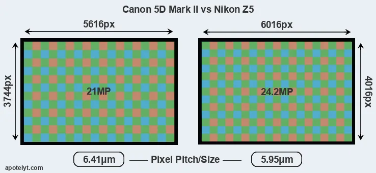 5D Mark II versus Z5 MP