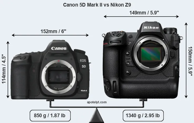 Size Canon 5D Mark II vs Nikon Z9