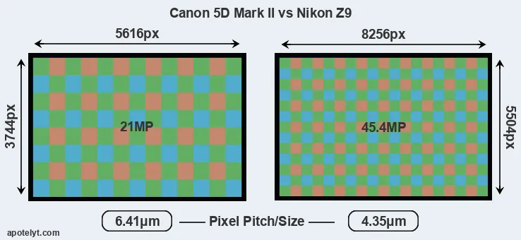 5D Mark II versus Z9 MP