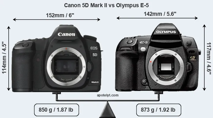 Size Canon 5D Mark II vs Olympus E-5