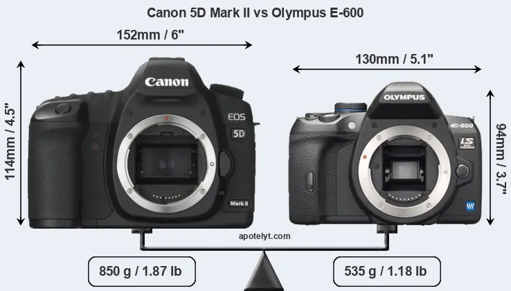 Size Canon 5D Mark II vs Olympus E-600