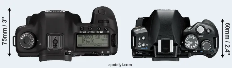 Compare 5D Mark II versus E-600 top