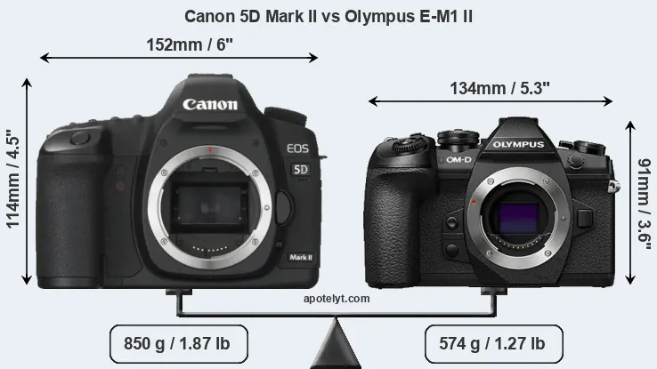 Size Canon 5D Mark II vs Olympus E-M1 II