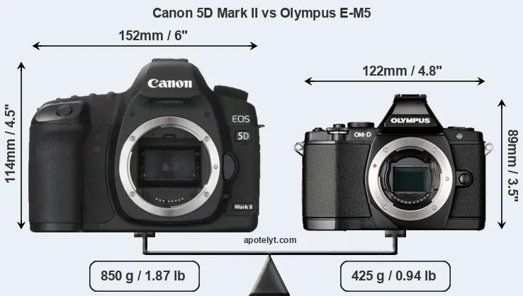 Size Canon 5D Mark II vs Olympus E-M5