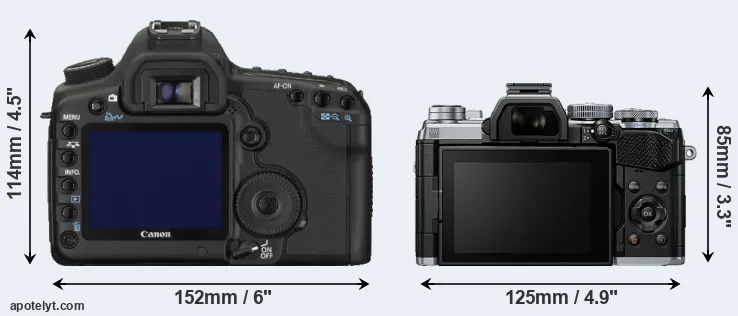 Comparison 5D Mark II or E-M5 III rear