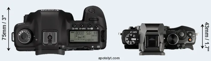 Compare 5D Mark II versus E-M5 top